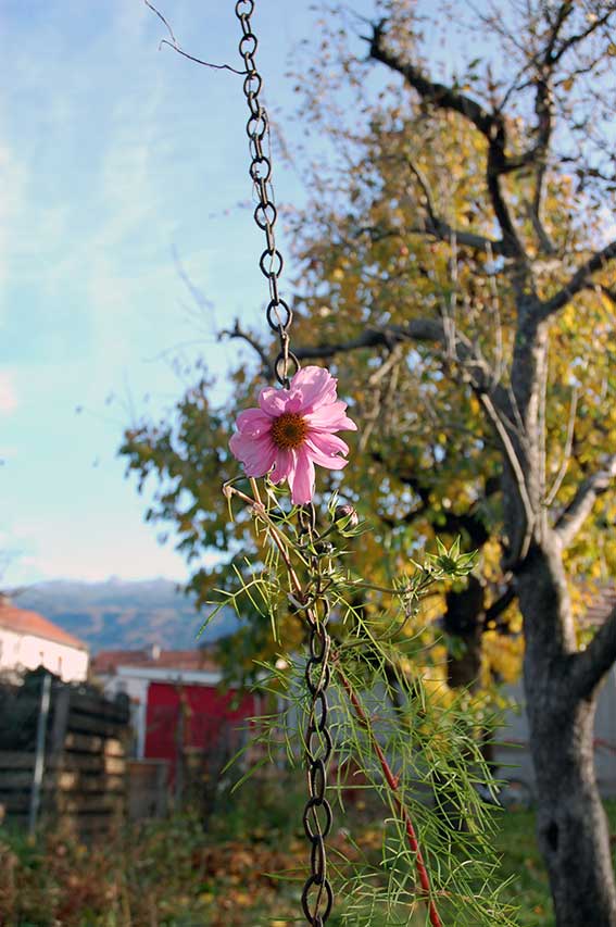 Garten im November