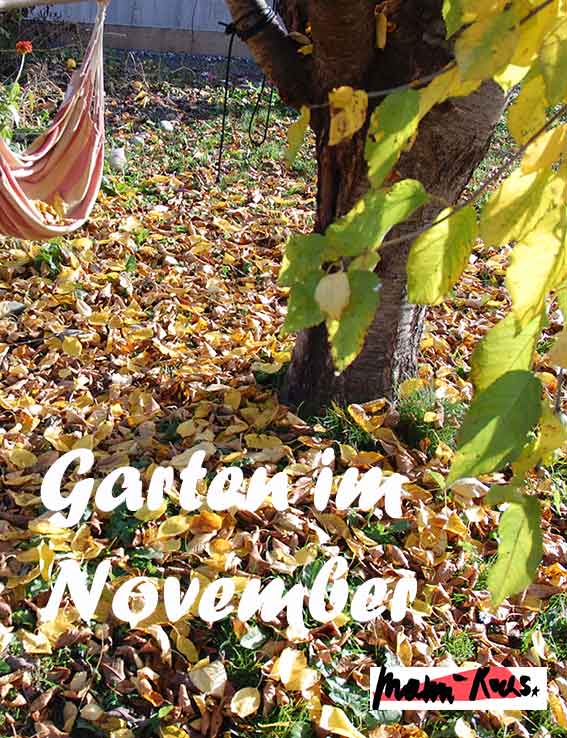 Garten im November