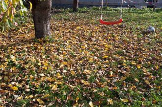 Garten im November und echte Oktoberliebe