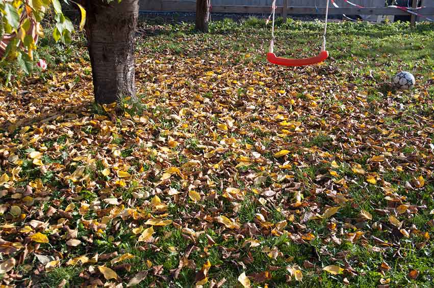 Garten im November