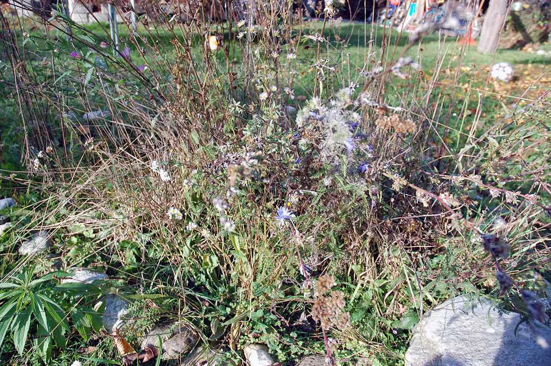 Garten im November