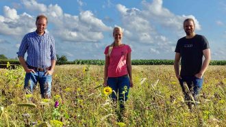 Blumen vom Feld als Blühstreifen verschenken mit Wilde Pracht