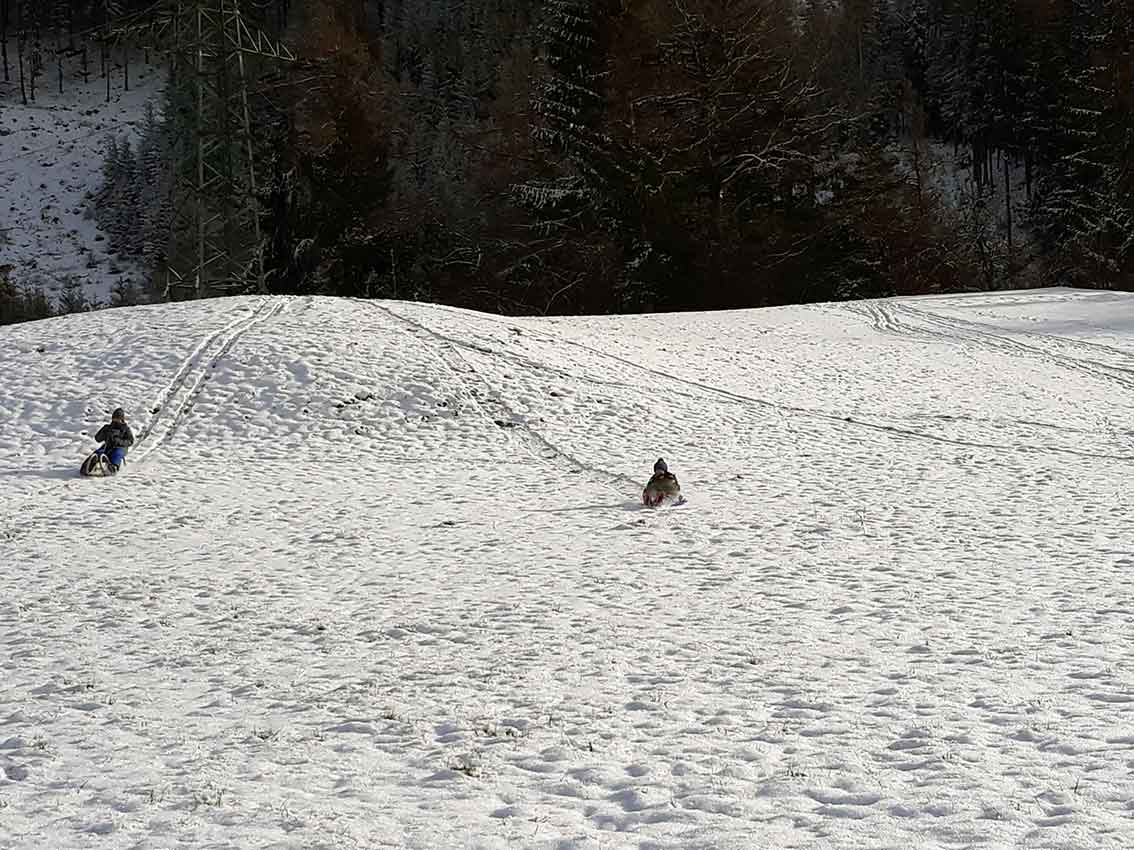 Weihnachten im Wald und zuhause