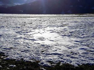 Zeit nehmen für die Kinder