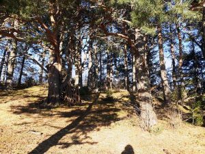 Zeit nehmen für die Kinder