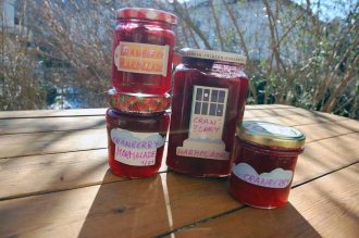 Preiselbeeren und Cranberry-Marmelade einkochen