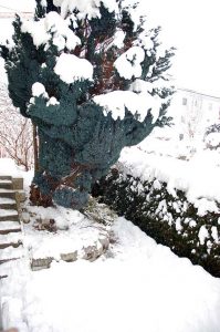 Homeschooling & Homeoffice