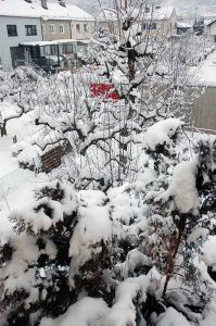 Homeschooling & Homeoffice