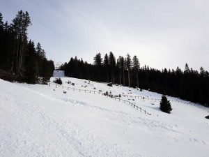 Schnee