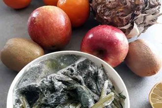 winter smoothies fuer die ganze familie