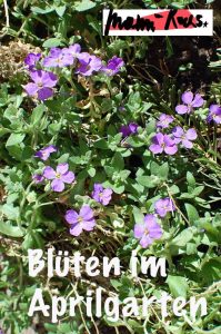 Garten im im April