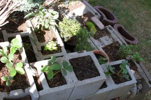 Blühender Garten anlegen