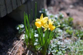 Ostern mit Kindern