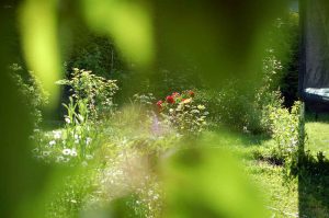 Naturgeister im Garten
