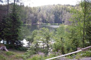 Naturzeit mit Kindern rund um Innsbruck