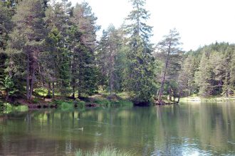Naturzeit mit Kindern rund um Innsbruck