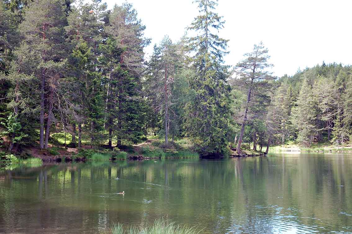 Naturzeit mit Kindern rund um Innsbruck
