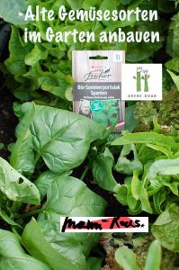 Alte Gemüsesorten und Heilkräuter