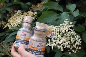 Kräuter aus dem Klostergarten