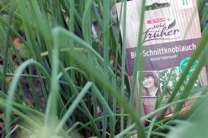 Alte Gemüsesorten und Heilkräuter