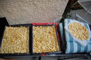 Zwetschgen und Äpfel einmachen