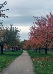 KIEZ MIT KIND HAMBURG NORD