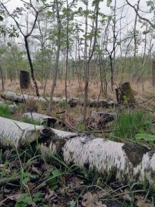 KIEZ MIT KIND HAMBURG NORD