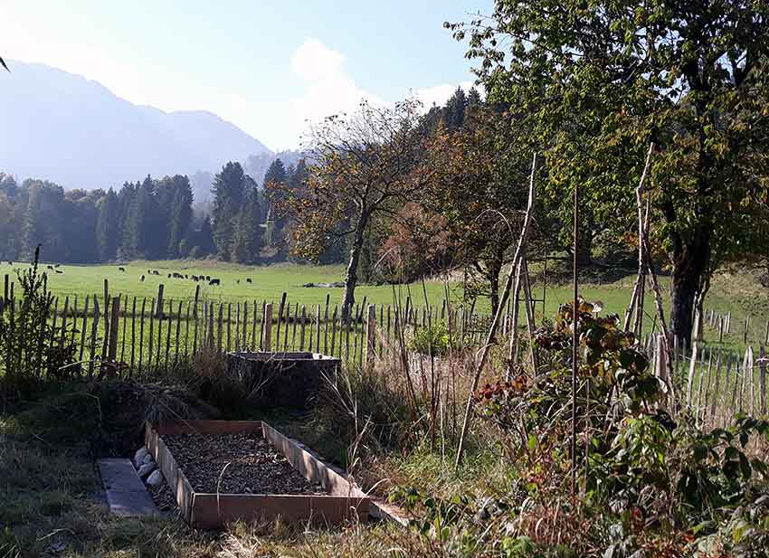 Bücher zur Gartenplanung, Kieferer Herbstspaziergang