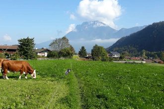 Kieferer Herbstspaziergang in der Natur, durch Felder und Wiesen, zur Entspannung und Vorbeugung von Stress und Hungergefühlen