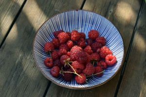 Mein Insektengarten: Was blüht im Oktober