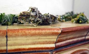 Räuchersticks im Oktober selbst herstellen