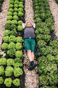 Leben als Selbstversorger