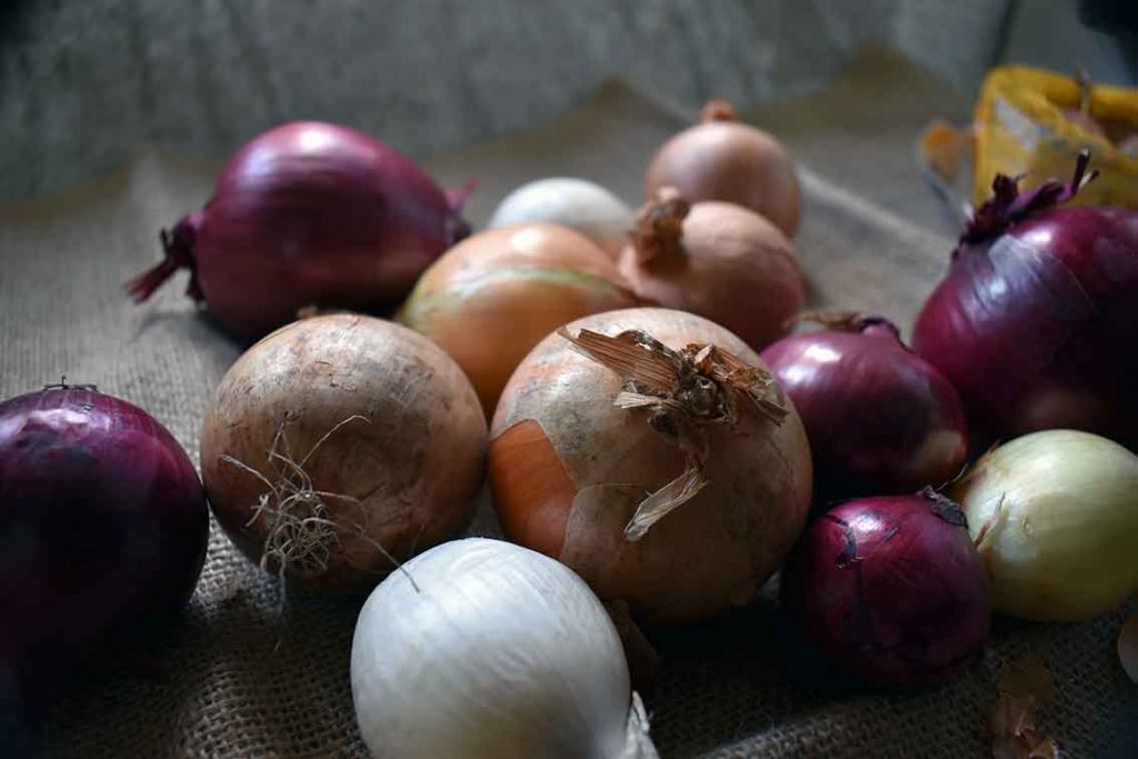 Kräuter fürs Immunsystem: Zwiebel Saisonal kochen im Winter