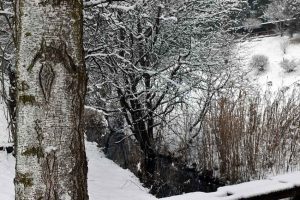 Schneelandschaft