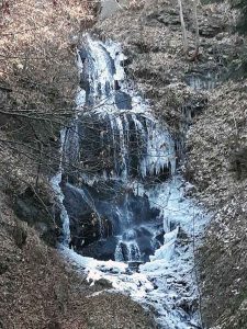 Natur im Januar