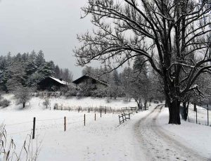 Schneelandschaft