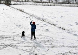 Mit dem Hund im Schnee spazieren