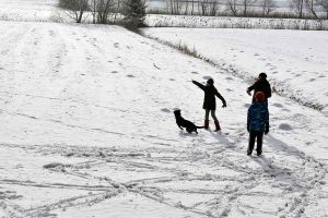 Mit dem Hund im Schnee spazieren