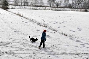 Mit dem Hund im Schnee spazieren