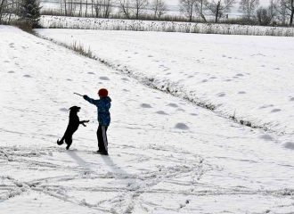 Mit dem Hund im Schnee spazieren