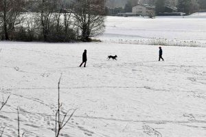 Mit dem Hund im Schnee spazieren