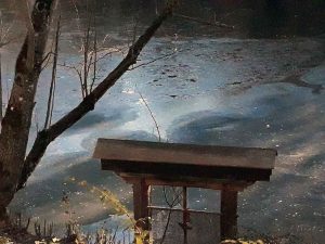 Natur im Januar
