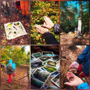 Waldpädagogik in Rheinland Pfalz