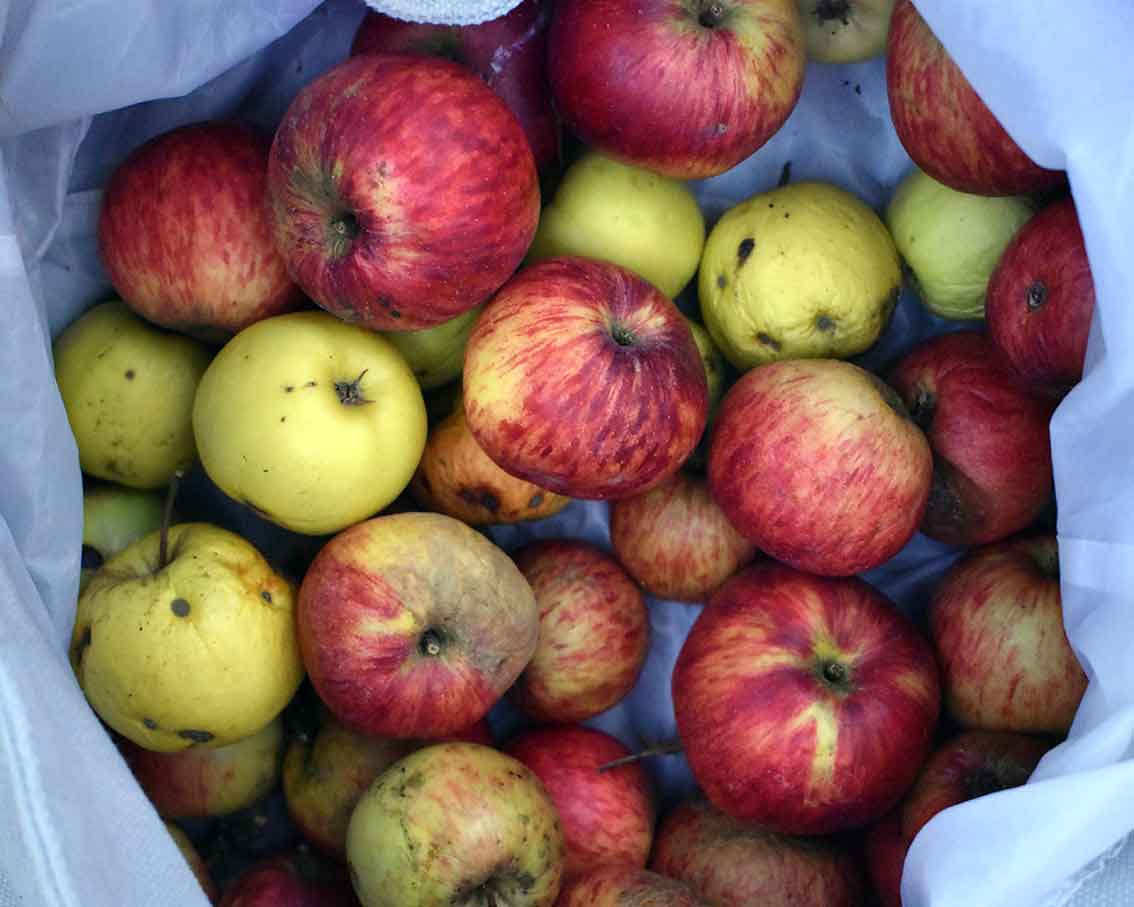 Balsam für die Seele