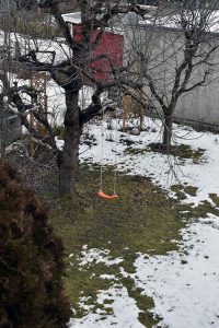 Lichtmess Imbolc Brigid