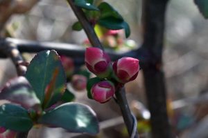 Achtsamkeitsübungen