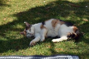 Achtsamkeitsübungen