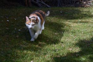 Achtsamkeitsübungen