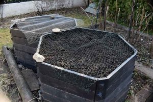 Frühlings-Tagundnachtgleiche feiern