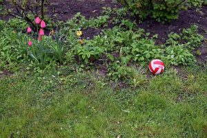 Teenager Geburtstagsparty fanden 13-Jährige cool